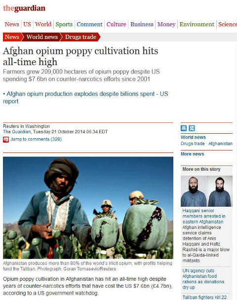 An Afghan tends to his opium poppy fields as US soldiers guard fields